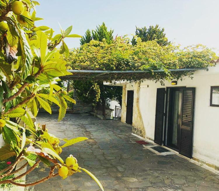 Bright & Spacious Seaview Villa ซีวิรี ภายนอก รูปภาพ